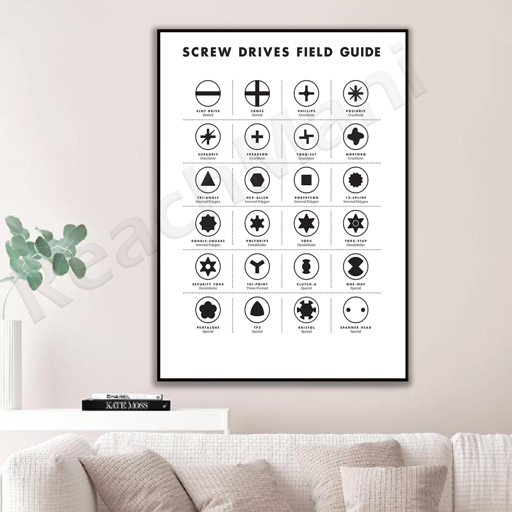Screw drive site guide wall ar - Workshop Tools Types review and price