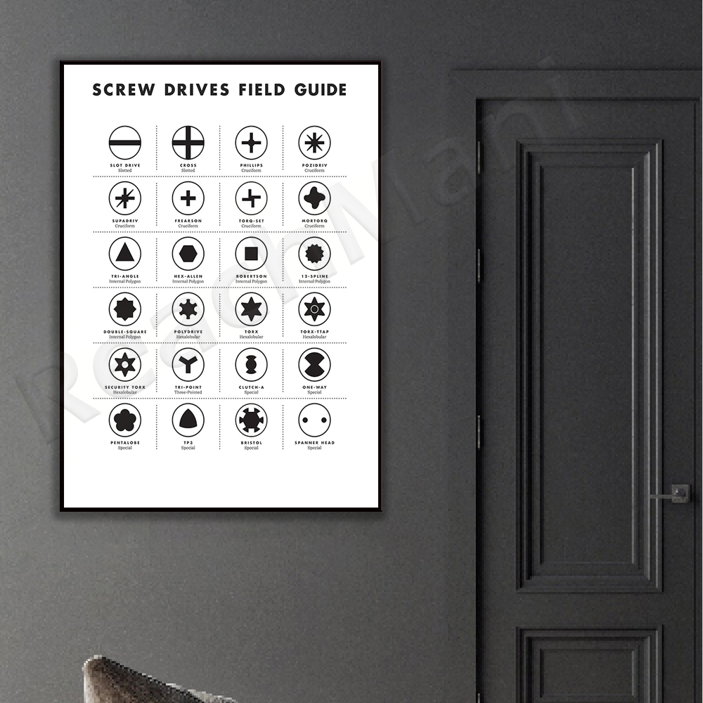Screw drive site guide wall ar - Workshop Tools Types review and price