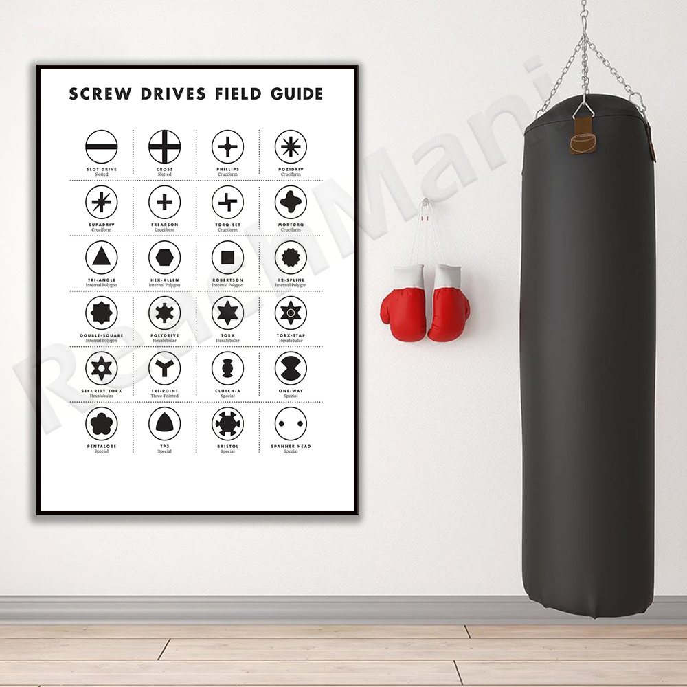 Screw drive site guide wall ar - Workshop Tools Types review and price